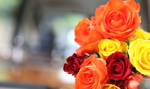 funeral_director_beaminster